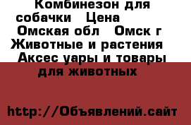 Комбинезон для собачки › Цена ­ 1 000 - Омская обл., Омск г. Животные и растения » Аксесcуары и товары для животных   